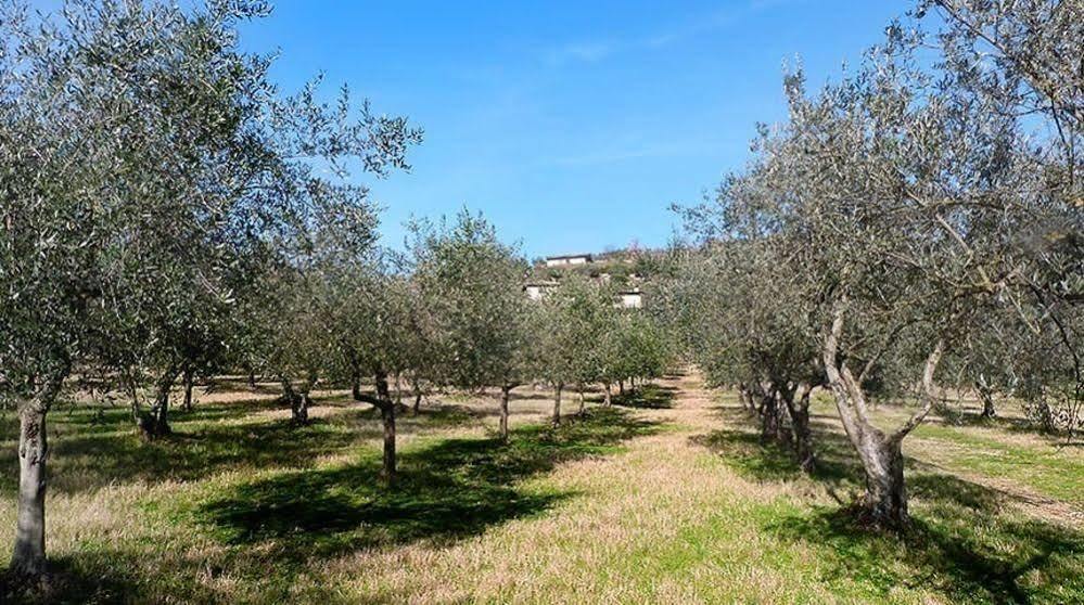 Bed and Breakfast Casale San Pietro Anagni Exterior foto